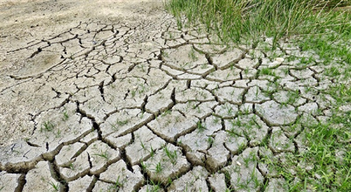 Danni all'agricoltura per la siccità a partire dal mese di maggio 2022 - Domande per una prima ricognizione dei danni